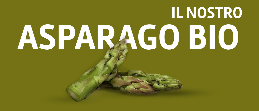 asparago-primo-il-nostro-asparago-biologico