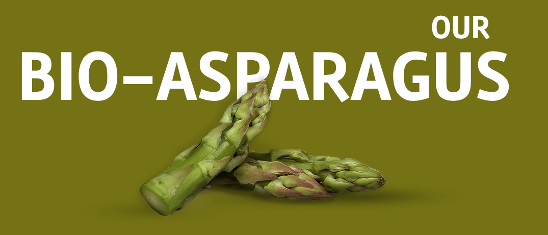 asparago-primo-visori_ourbioasparagus_eng